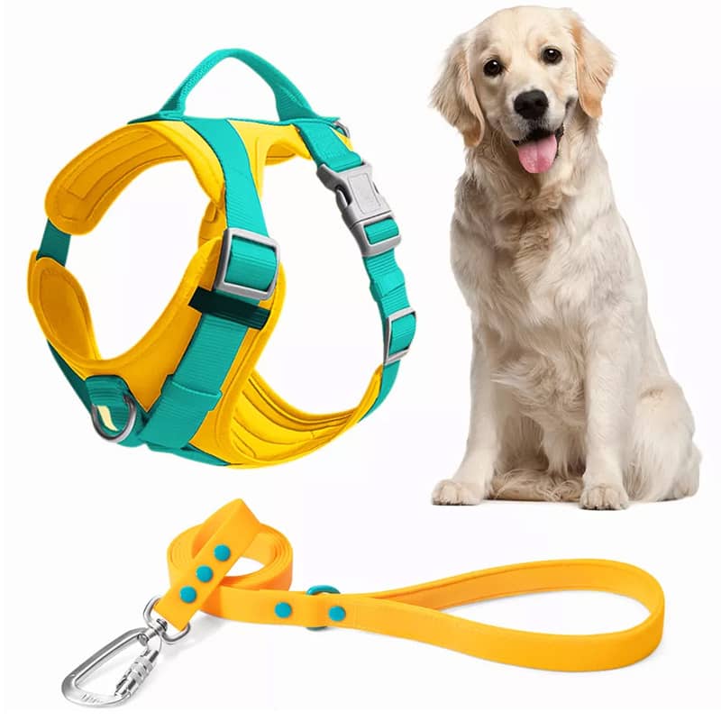 El mejor arnés de carrera para perros